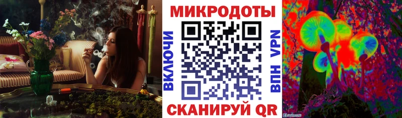 Купить закладки  Михайлов  Галлюциногенные грибы Psilocybe 